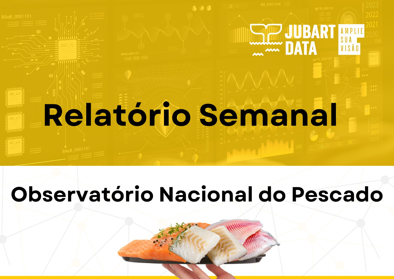 Relatório Semanal